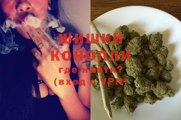 гидра Аркадак