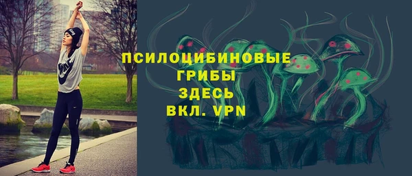 apvp Арсеньев