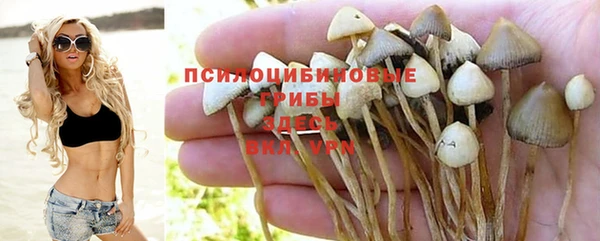 ALPHA PVP Армянск