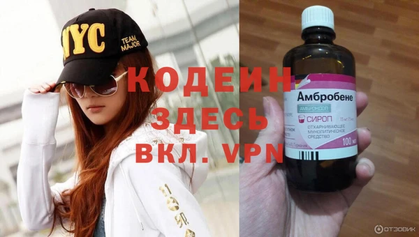 гидра Аркадак