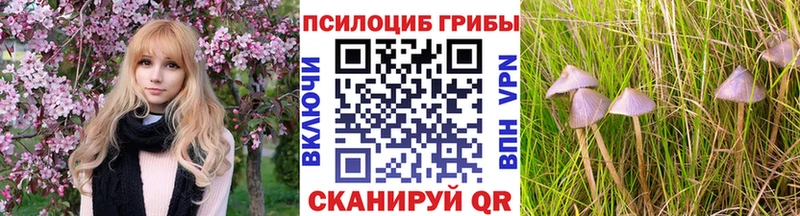где продают наркотики  Ипатово  Галлюциногенные грибы мицелий 
